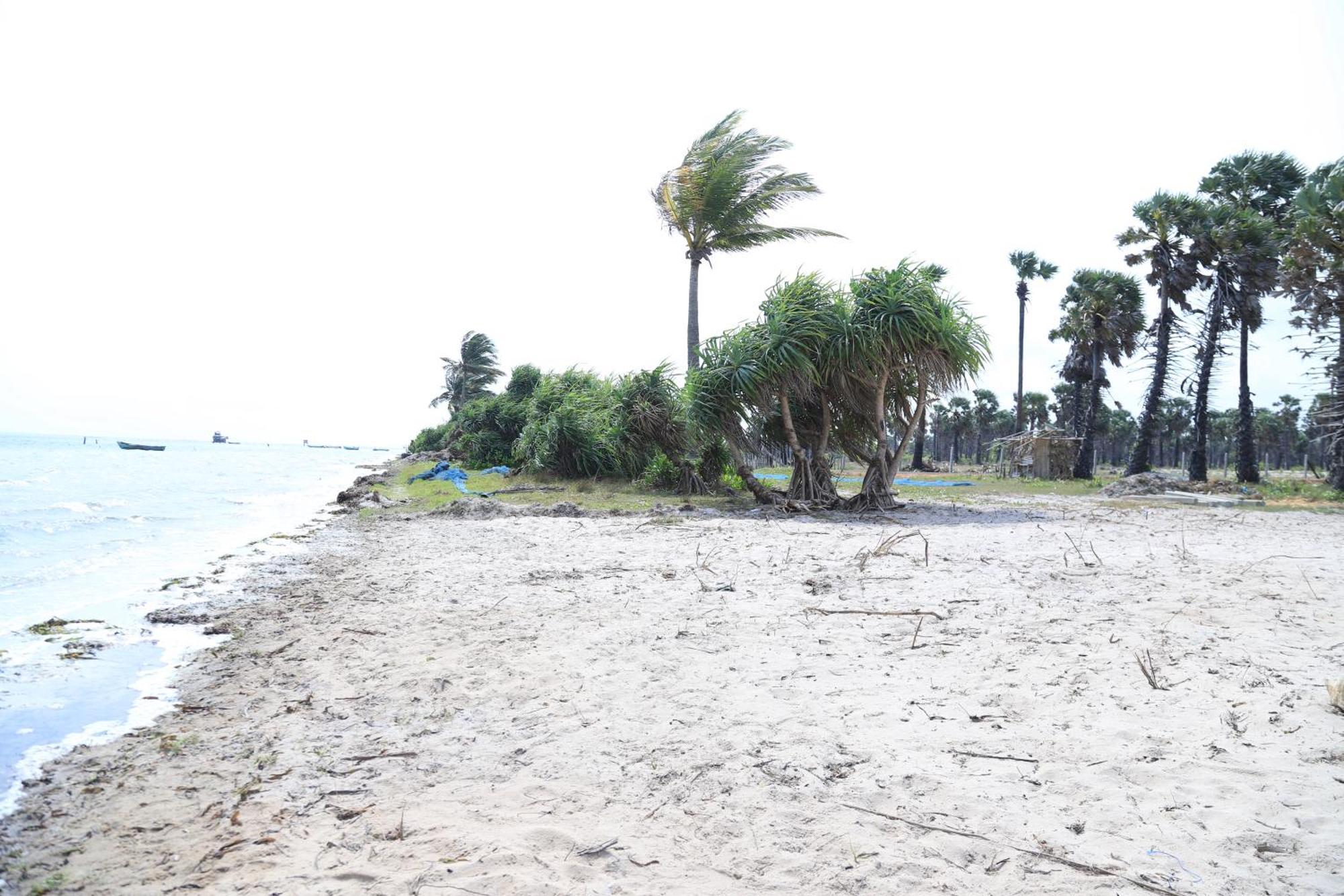 Palm Beach Resort Ceylon Jaffna Luaran gambar